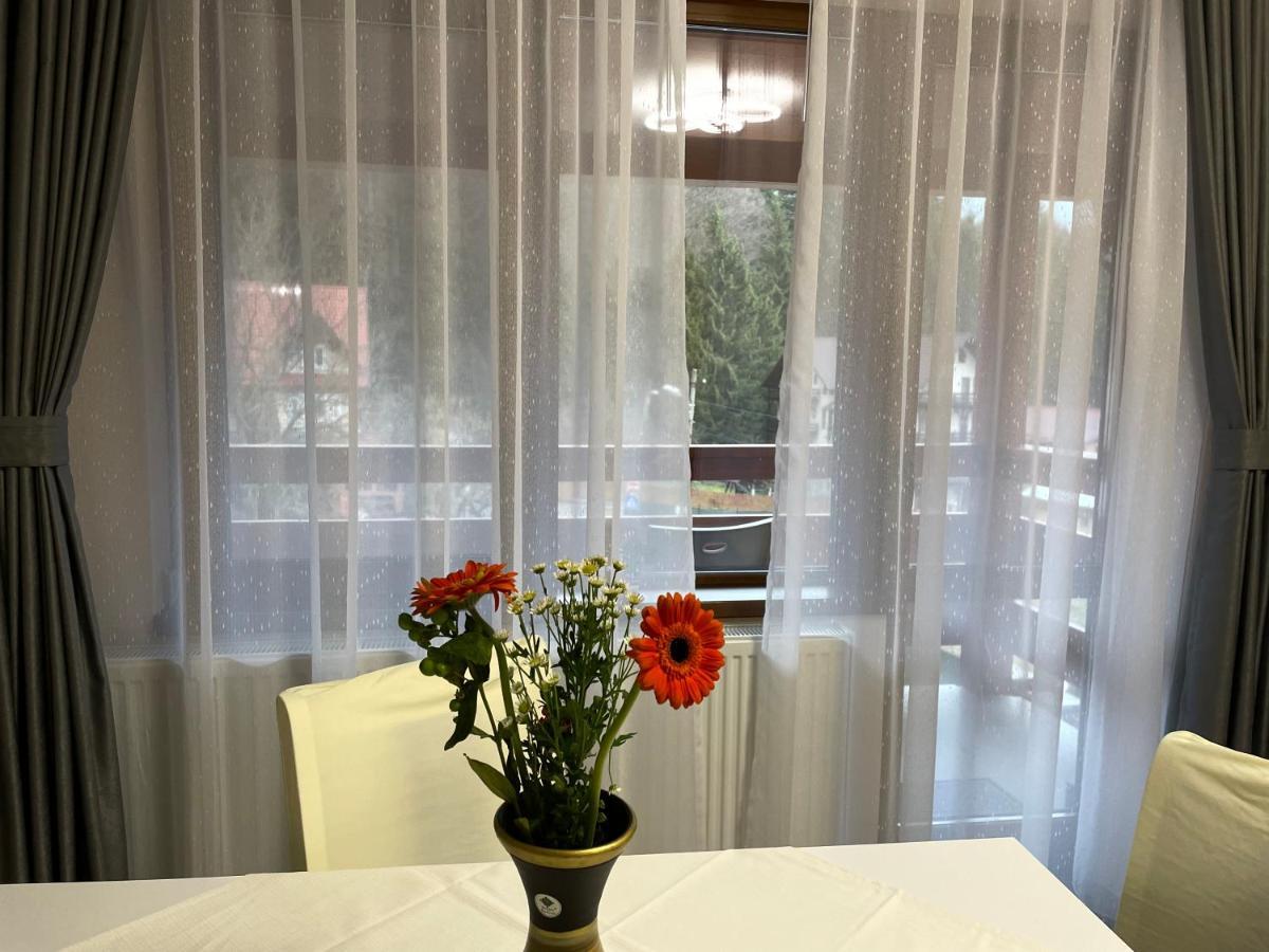 Apartament Lexannona Buşteni Εξωτερικό φωτογραφία