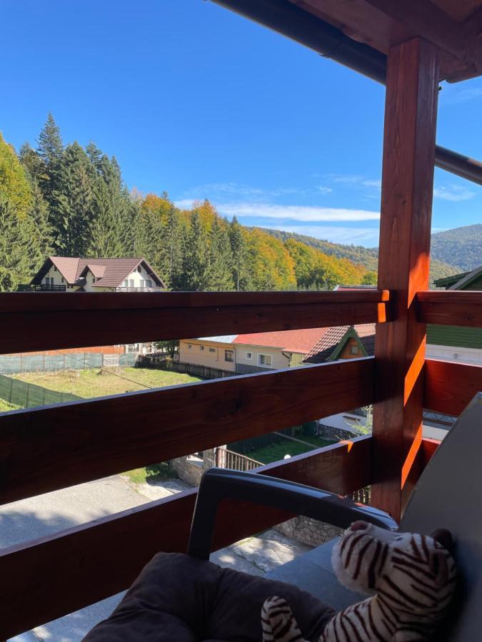 Apartament Lexannona Buşteni Εξωτερικό φωτογραφία