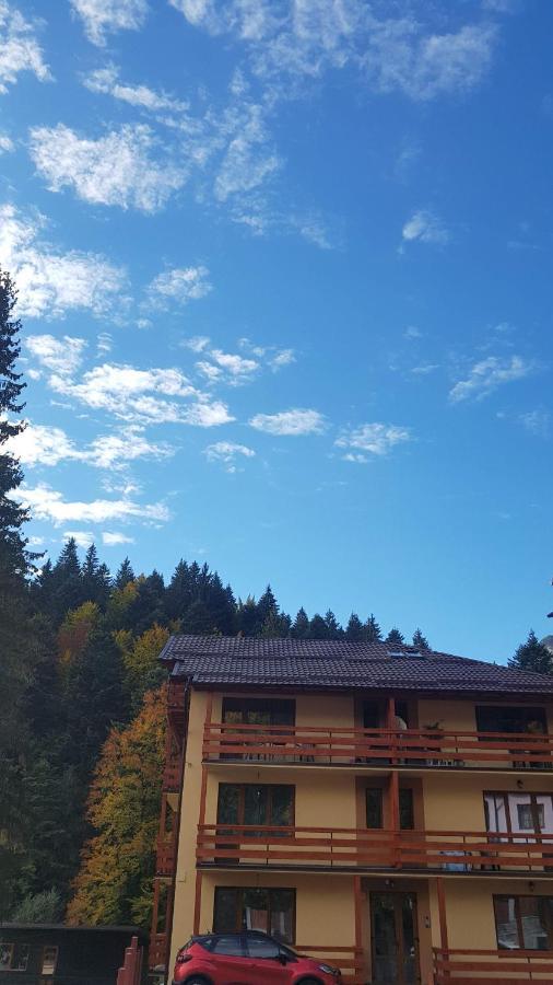 Apartament Lexannona Buşteni Εξωτερικό φωτογραφία