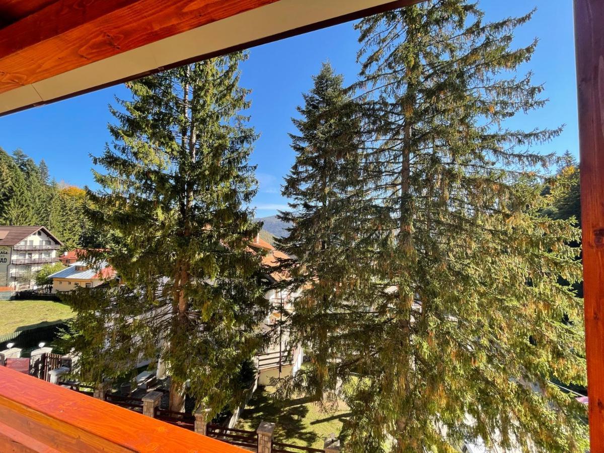 Apartament Lexannona Buşteni Εξωτερικό φωτογραφία